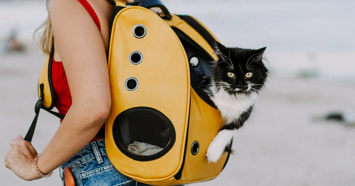 A woman wearing a bright yellow pet carrier backpack with a black and white cat peeking its head and one paw out of the side opening.