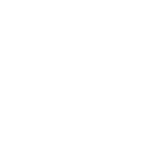 Pet medical record icon