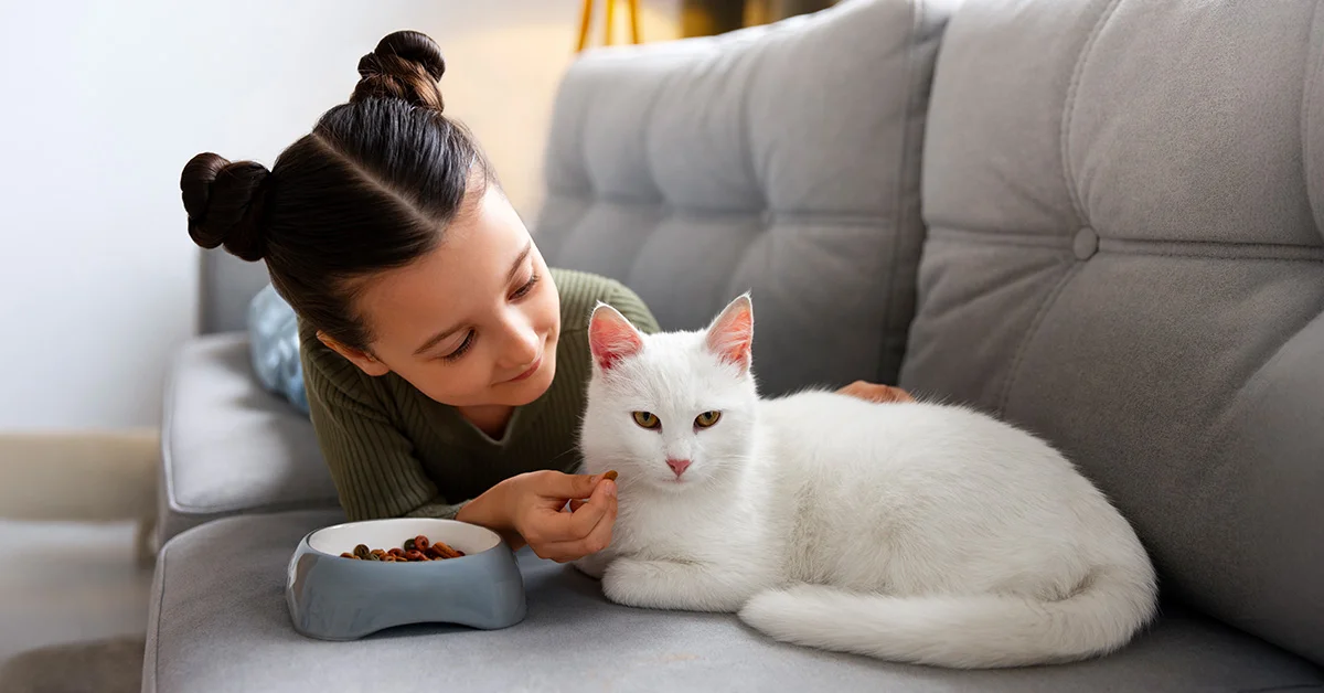 A young girl with her hair in two buns sits on a gray sofa, smiling as she pets and feeds a white cat resting next to a bowl of food.