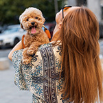 A woman holding up a small, fluffy dog.