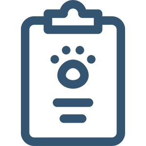 Pet medical record icon